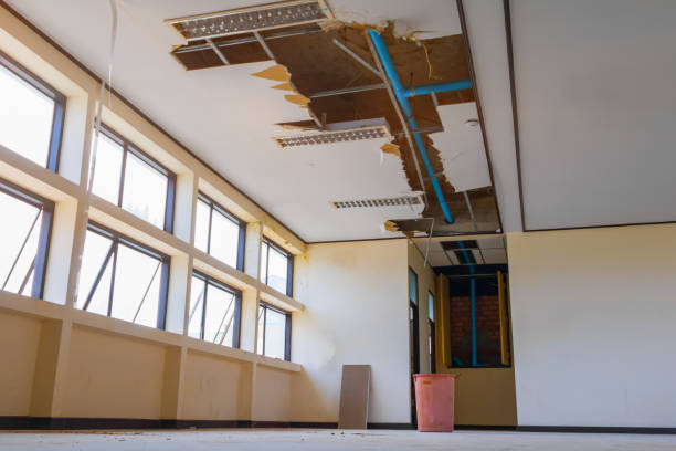 Best Local water damage restoration  in Torrington, CT