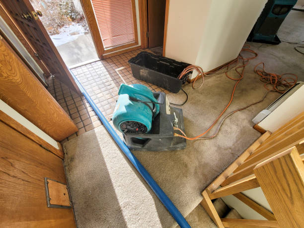 Best Local water damage restoration  in Torrington, CT
