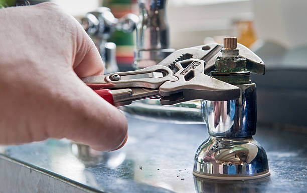 Best Mold removal after water damage  in Torrington, CT