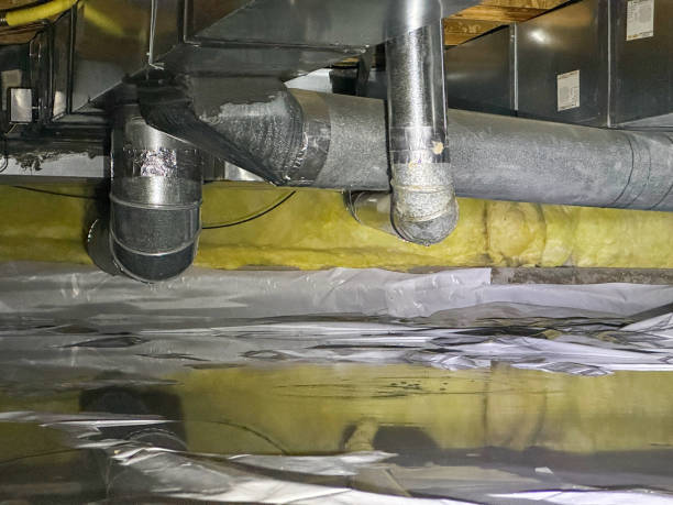 Best Basement water damage restoration  in Torrington, CT