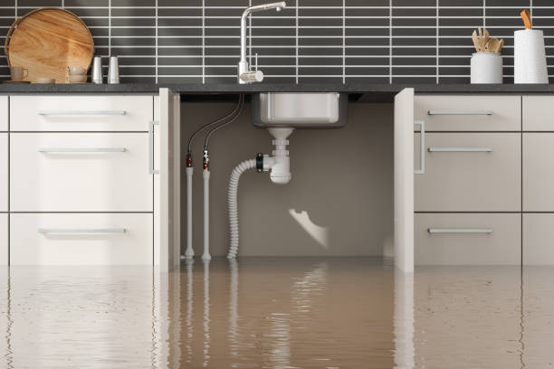 Best Ceiling water damage repair  in Torrington, CT