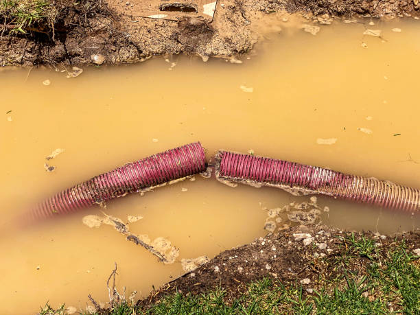 Carpet water damage restoration in Torrington, CT