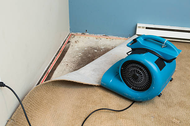 Best Ceiling water damage repair  in Torrington, CT